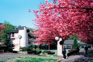 Izvor "Snežnik"